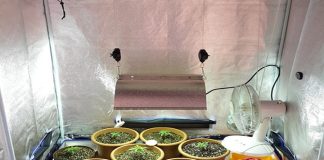 10 Indoor Grow Tents